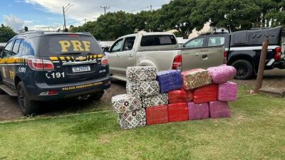 Imagem da notícia PRF apreende 388 kg de maconha durante fiscalização na BR-060, em Chapadão do Sul